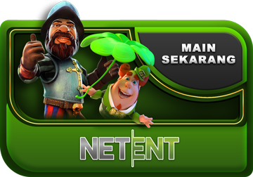 Net Ent